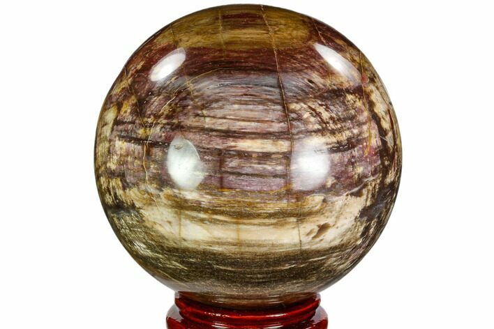 Colorful Petrified Wood Sphere - Madagascar #110589